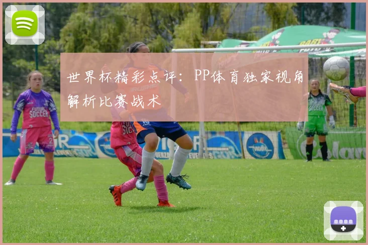 世界杯精彩点评：PP体育独家视角解析比赛战术