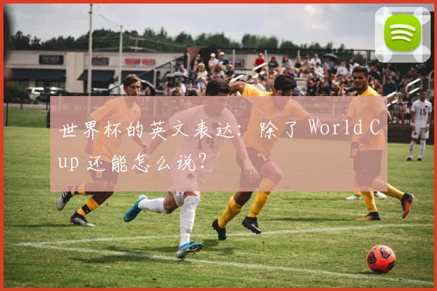 世界杯的英文表达:除了 World Cup 还能怎么说?
