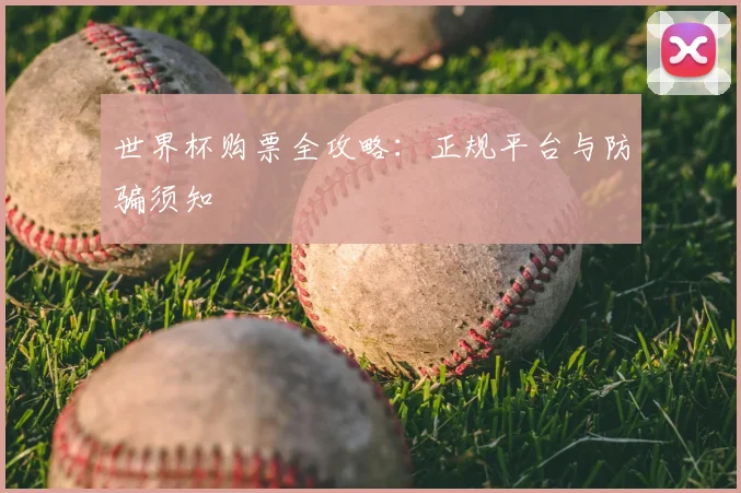 世界杯购票全攻略:正规平台与防骗须知