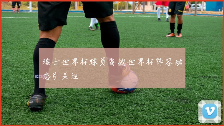 瑞士世界杯球员备战世界杯阵容动态引关注