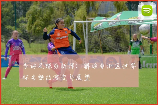 专访足球分析师:解读非洲区世界杯名额的演变与展望